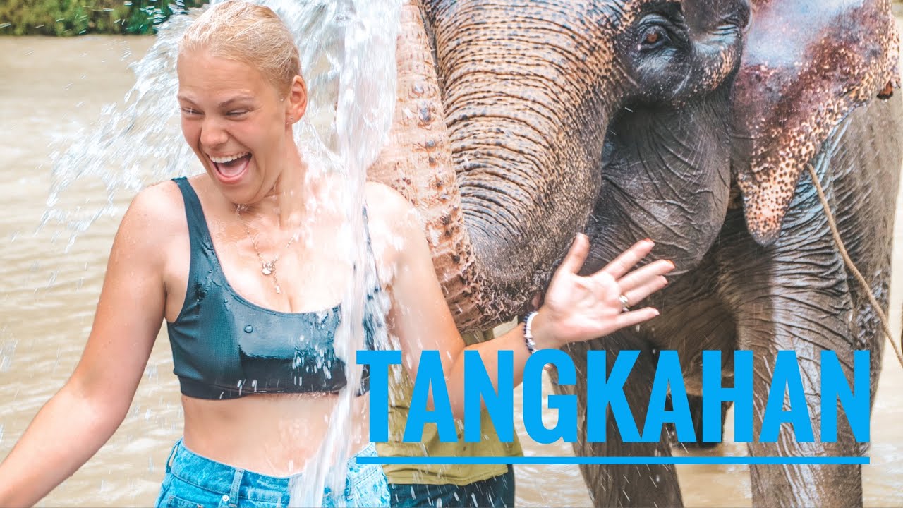#travel2023 | Tangkahan is a really hidden paradise? Meet the elephants