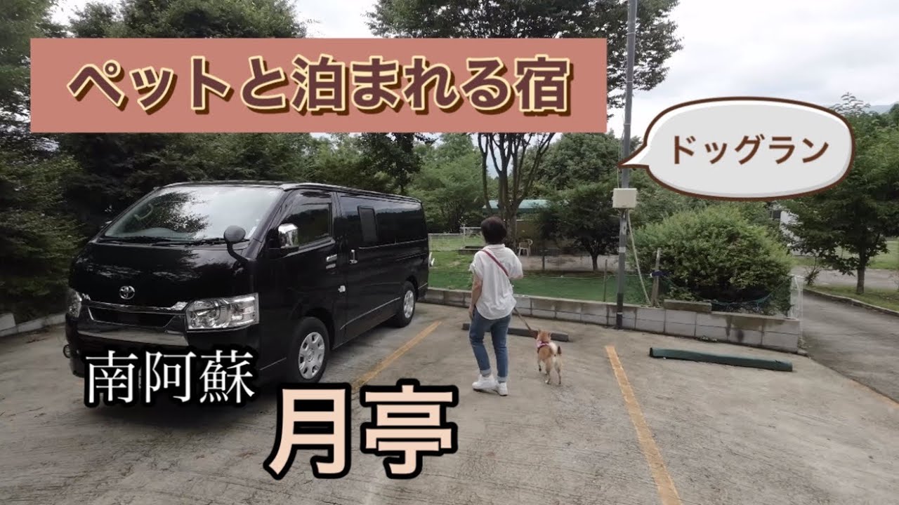 【ペットと泊まれる宿】南阿蘇にドッグランありのバーベキューのできる宿♪月亭