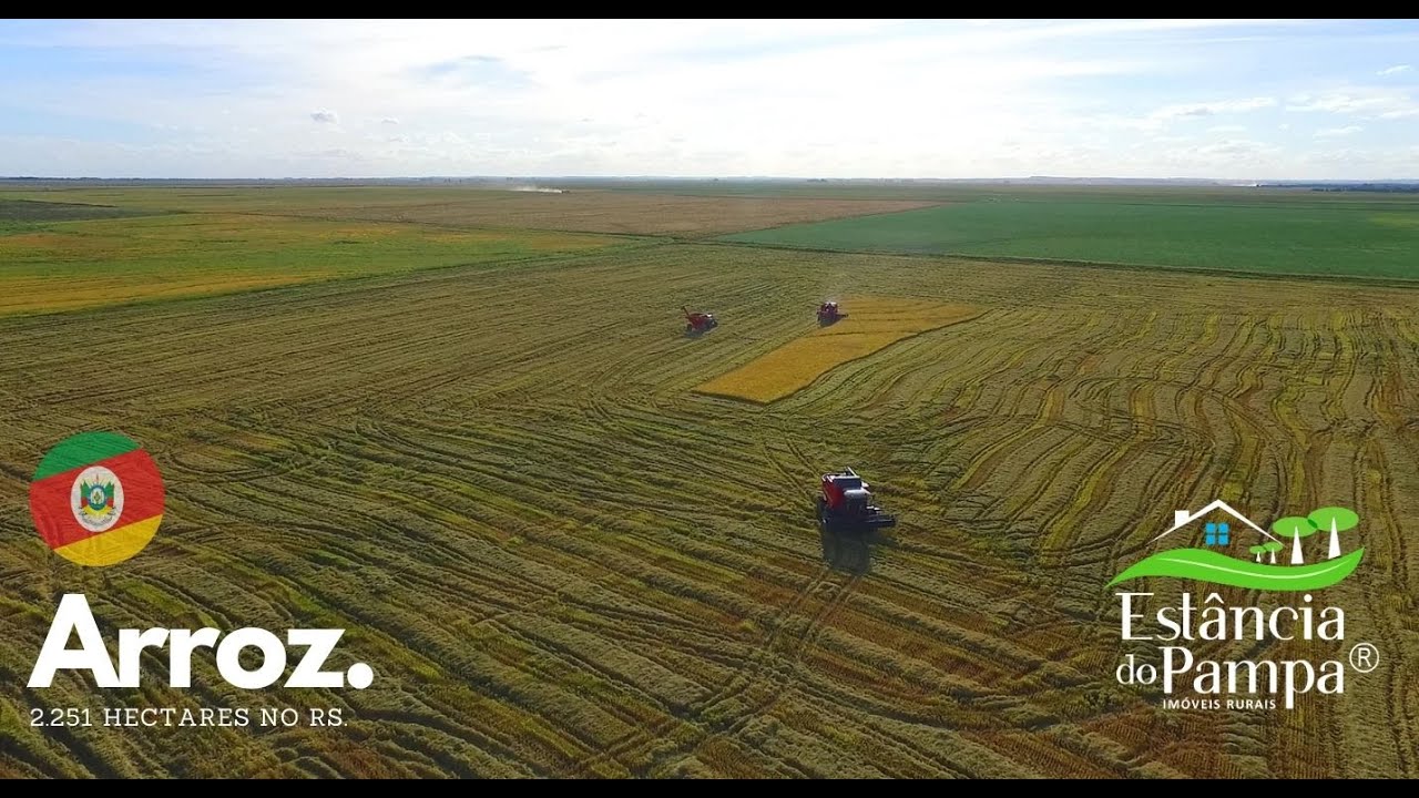 FAZENDA À VENDA NO RS COM 2250 HA