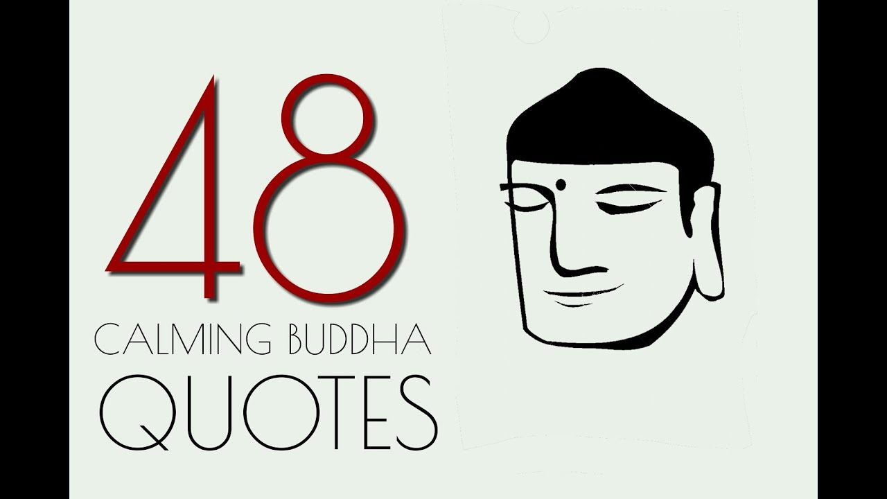 BUDDHA .48 Calming Quotes about life.