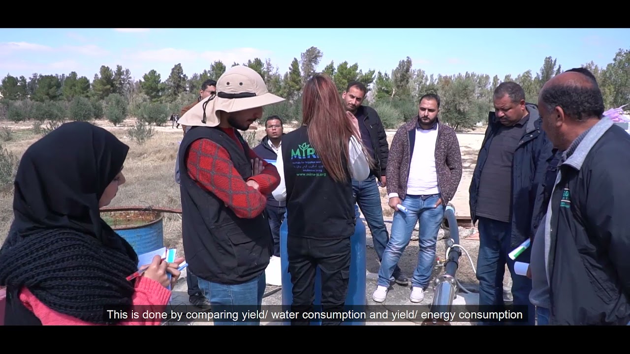 MIRRA - Sustainable Agriculture in Azraq, Jordan