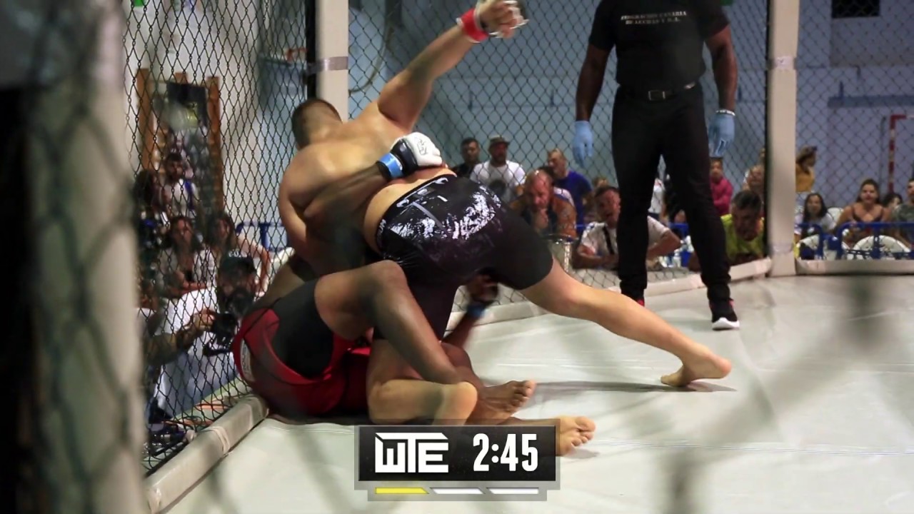 WTE8 - DARWIN RODRIGUEZ VS CRISTOPHE PICAUT // HEAVYWEIGHTBOUT
