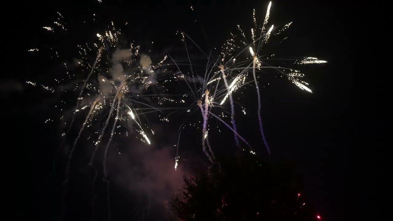 Disneyland Christmas Fireworks. Viltox 28mm.