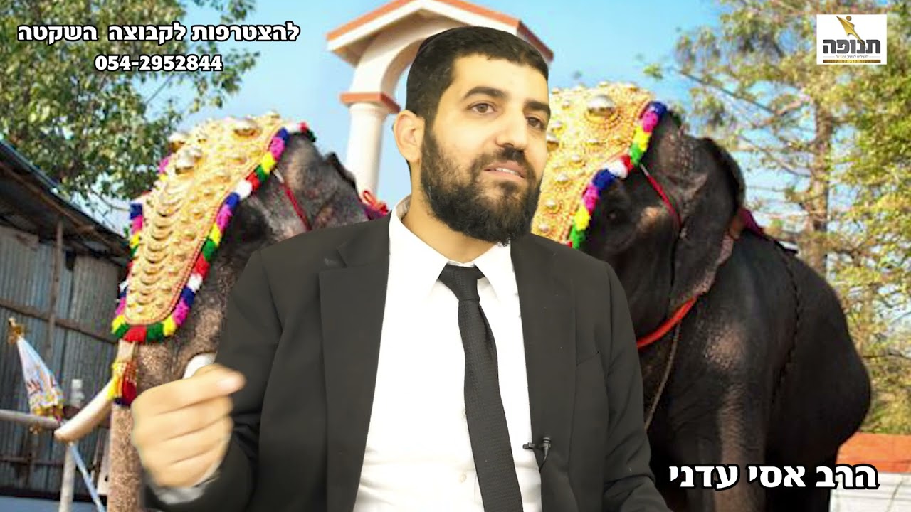 מצמרר!!! הסיפור המלא מה יש לבחורה צעירה לחפש בהודו??- הרב אסי עדני #סיפור#הידברות#ענפים#תורה#פודקאסט
