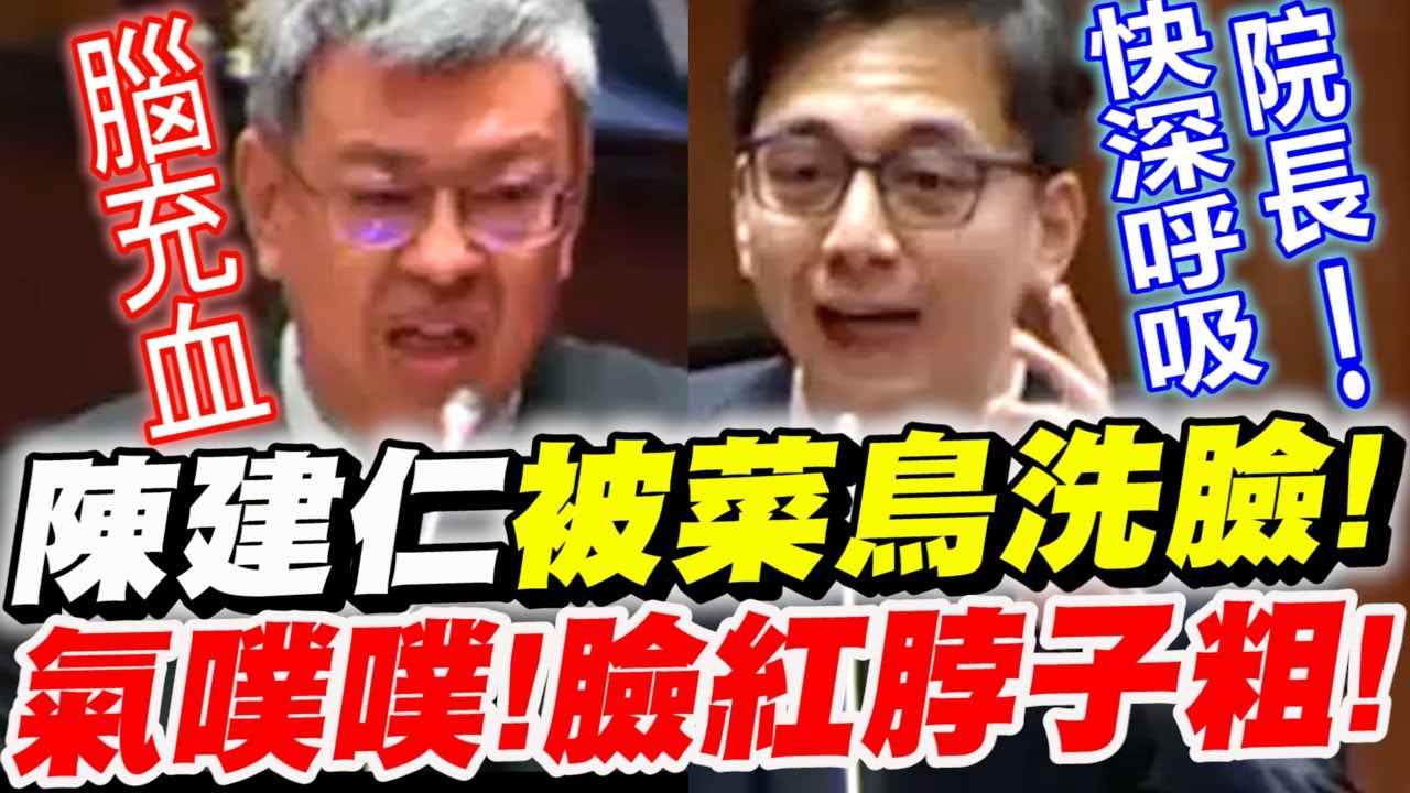 【字幕版】行政院院長陳建仁被菜鳥立委洗臉耍著玩！氣到腦充血！臉紅脖子粗！＂聖騎士＂變＂聖戰士＂啦！新科立委牛煦庭