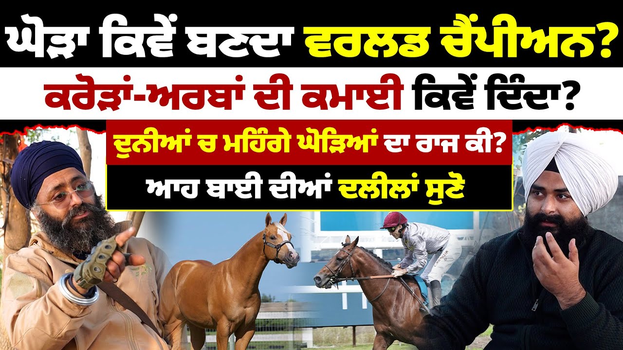 ਘੋੜਾ ਕਿਵੇਂ ਬਣਦਾ ਵਰਲਡ ਚੈਂਪੀਅਨ? ਕਰੋੜਾਂ-ਅਰਬਾਂ ਦੀ ਕਮਾਈ ਕਿਵੇਂ ਦਿੰਦਾ? ਆਹ ਬਾਈ ਦੀਆਂ ਦਲੀਲਾਂ ਸੁਣੋ