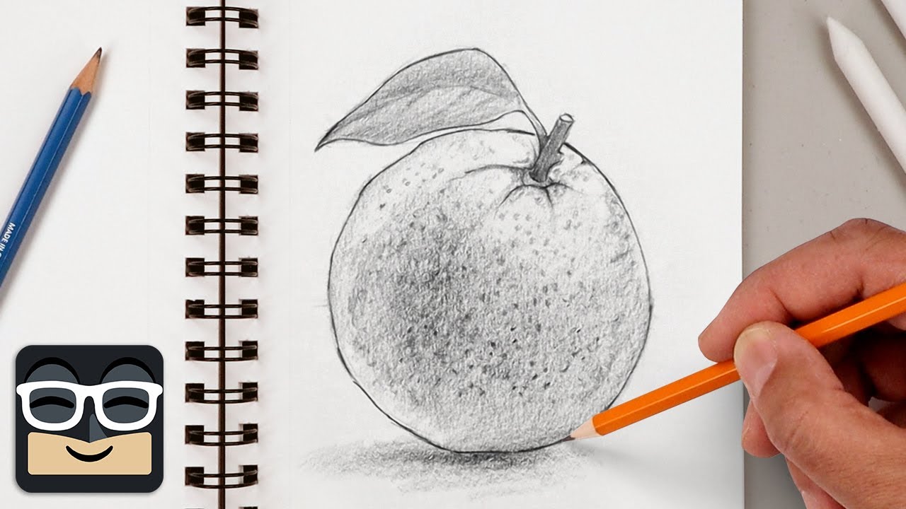 How to Draw a Realistic Orange | Step by Step Sketch Tutorial