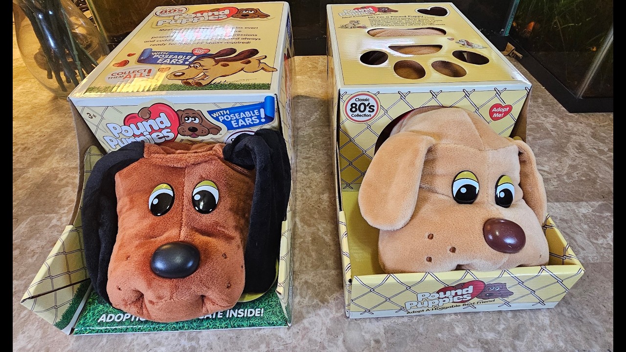 Pound Puppies Classic and Pound Puppies Poseable Ears Unboxing and Review