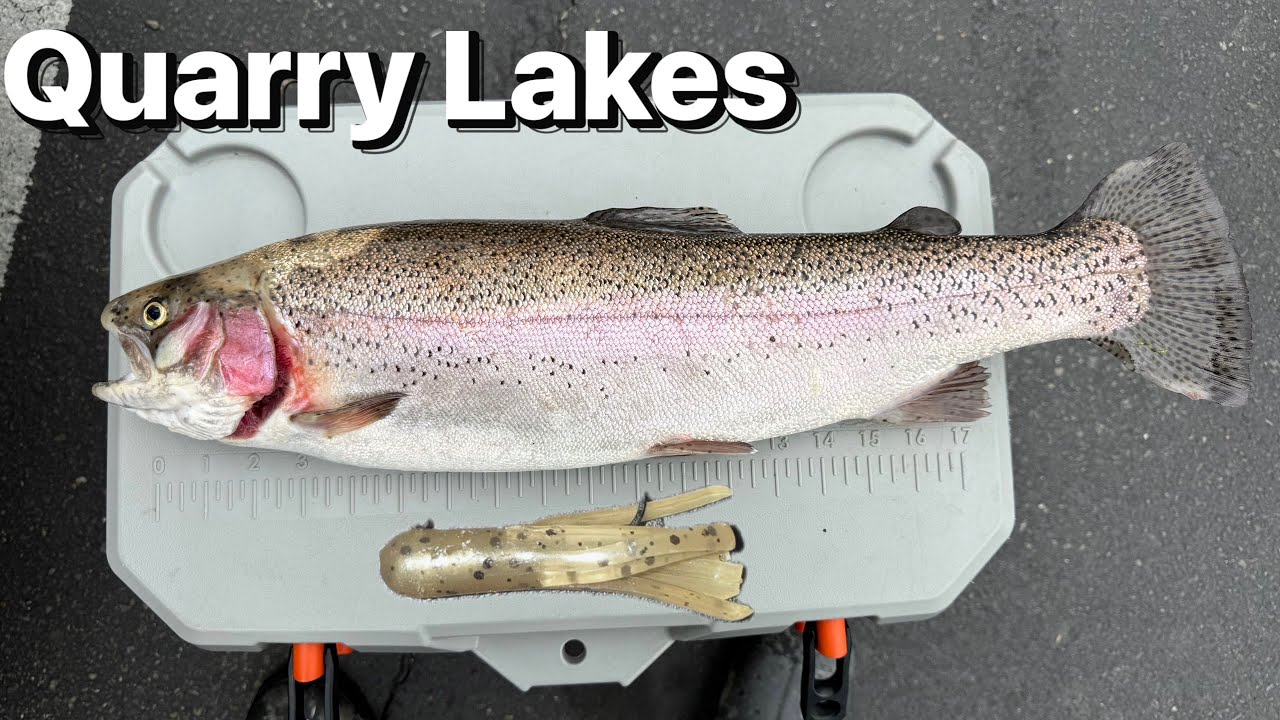 5 Pounder !!! At Quarry Lakes 