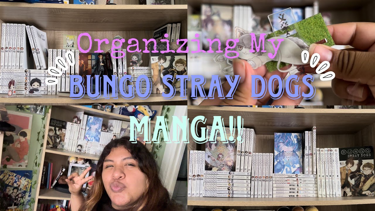 Organizing My Bungo Stray Dogs MANGA COLLECTION! *aesthetically*