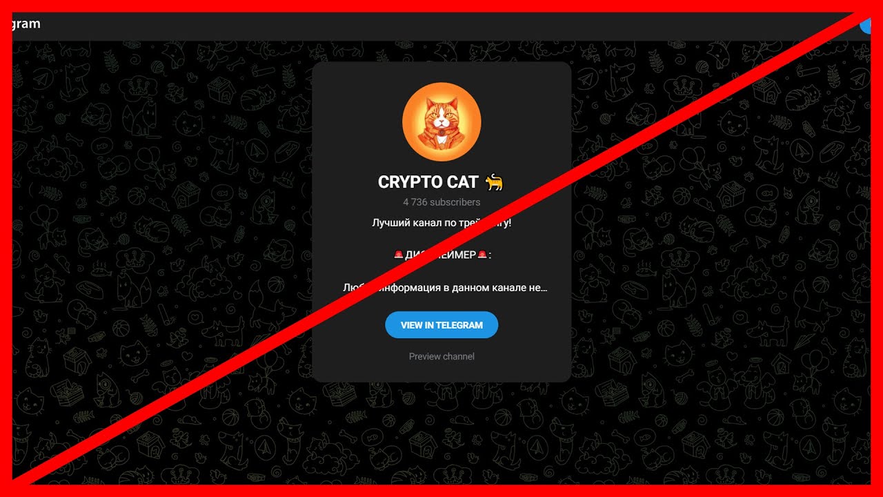 CRYPTO CAT мошенник? Отзывы и обзор!