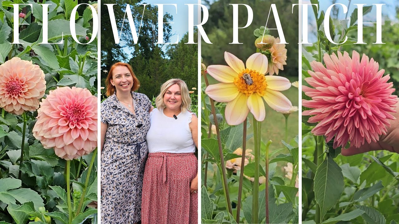 Charming Small Space Backyard Cut Flower Garden: 5 @floretflowerfarm Zinnias & Stunning Dahlias