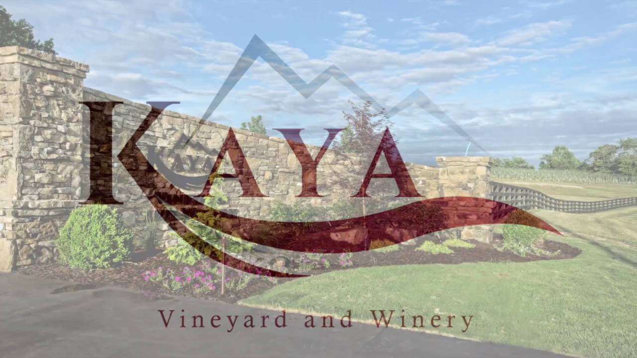 Kaya Vineyard and Winery Dahlonega Ga