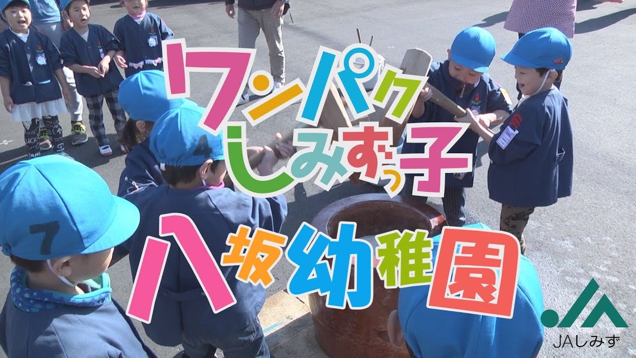 ワンパクしみずっ子　八坂幼稚園