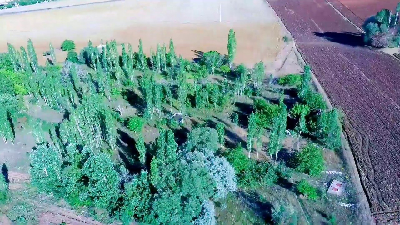 Havadan Kutlular Bağı: Miderisarası