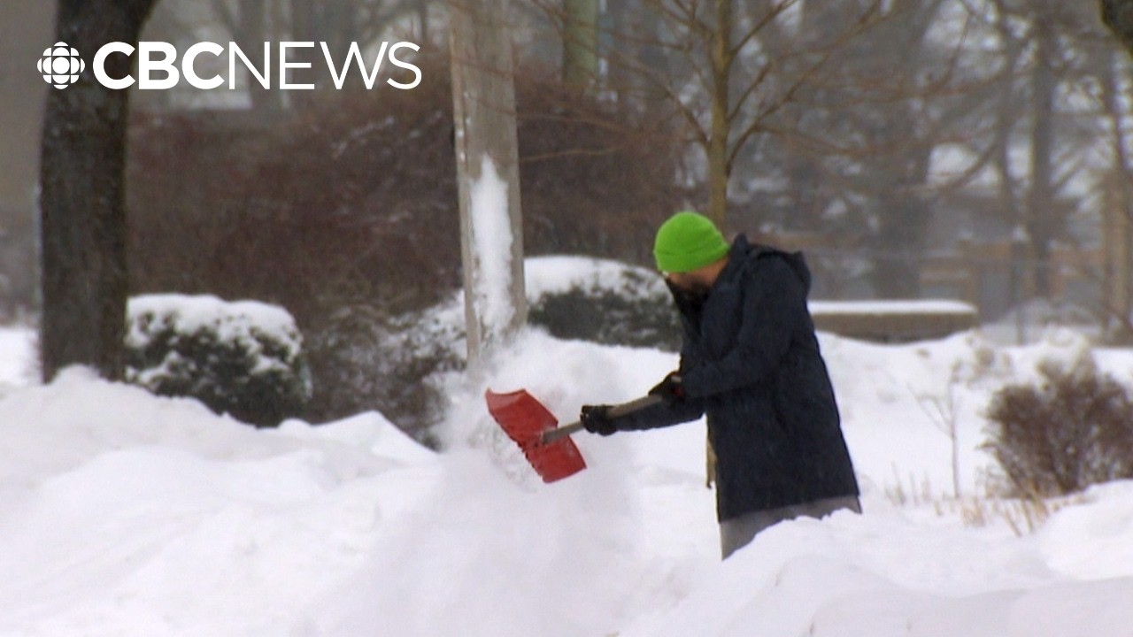 Blustery snowstorm sweeps Nova Scotia