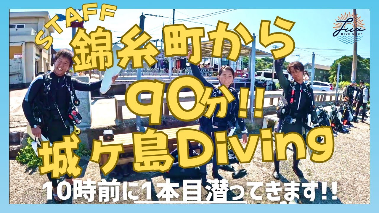 【時短革命】錦糸町から90分！渋滞知らずの城ヶ島日帰りダイビングが楽園すぎた！