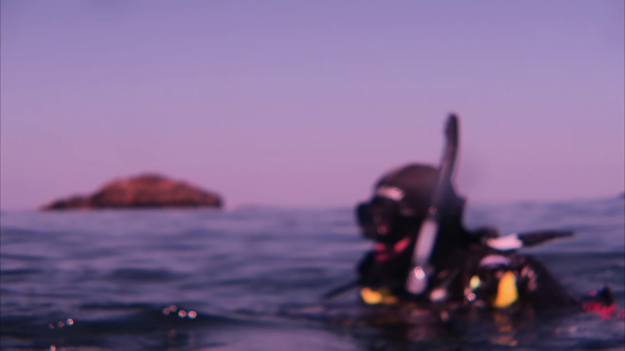 Inmersi&oacute;n Isla de Salvora (Reserva natural de las Islas Atl&aacute;nticas)