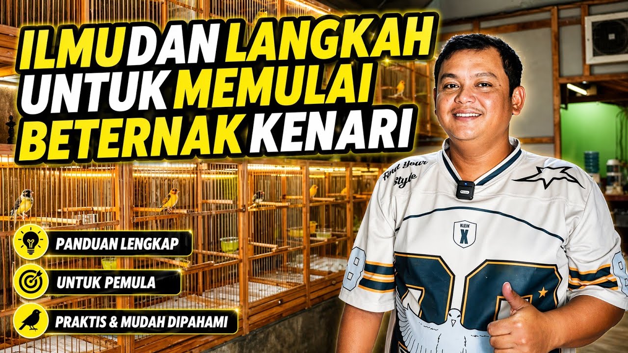 TIPS‼️Langkah TEPAT memulai BETERNAK KENARI...