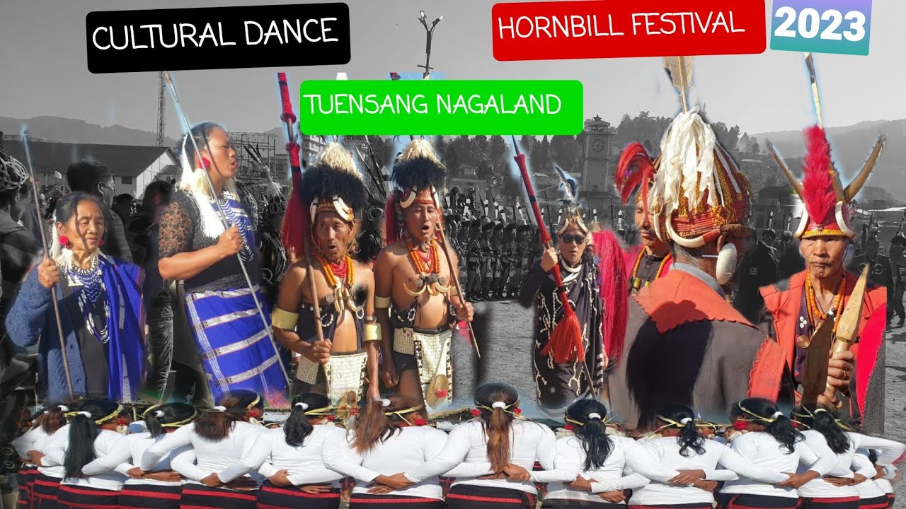 Poanglum. Cultural dance presented by Kejok,Yonyu,Sangdak,Longra,Waoshu,Yangpi. #minihornbill