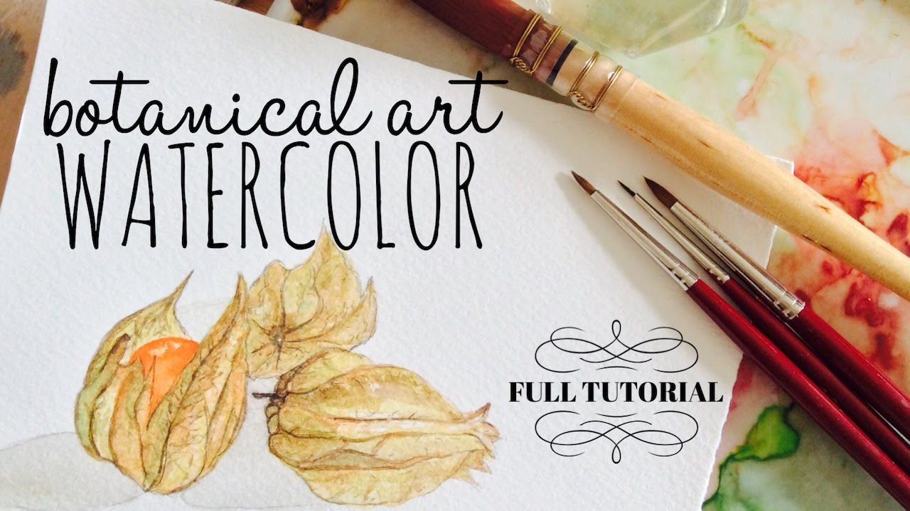 Botanical Art Tutorial ~ Ground Cherries: How to use Watercolour with Scarlett Damen