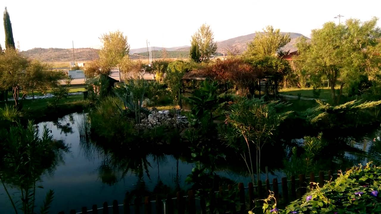 Zeytindalı  KAPLICA -  Dikili / İZMİR