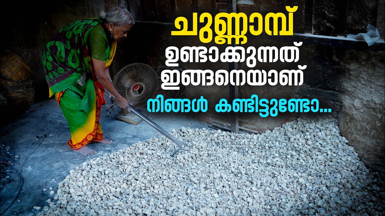 ചുണ്ണാമ്പ് ഉണ്ടാക്കുന്നത് ഇങ്ങനെയാണ് | Calcium Hydroxide Making | Chunnambuthara | Palakkad vlog