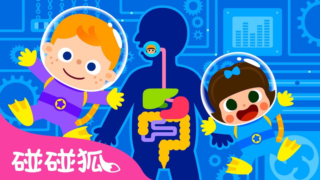 食物跑去哪了？ 🍙  消化系統探險記 認識身體 👶 碰碰狐 身體兒歌 | 台灣配音 中文兒歌 童謠 | 鯊魚寶寶 Baby Shark Pinkfong!