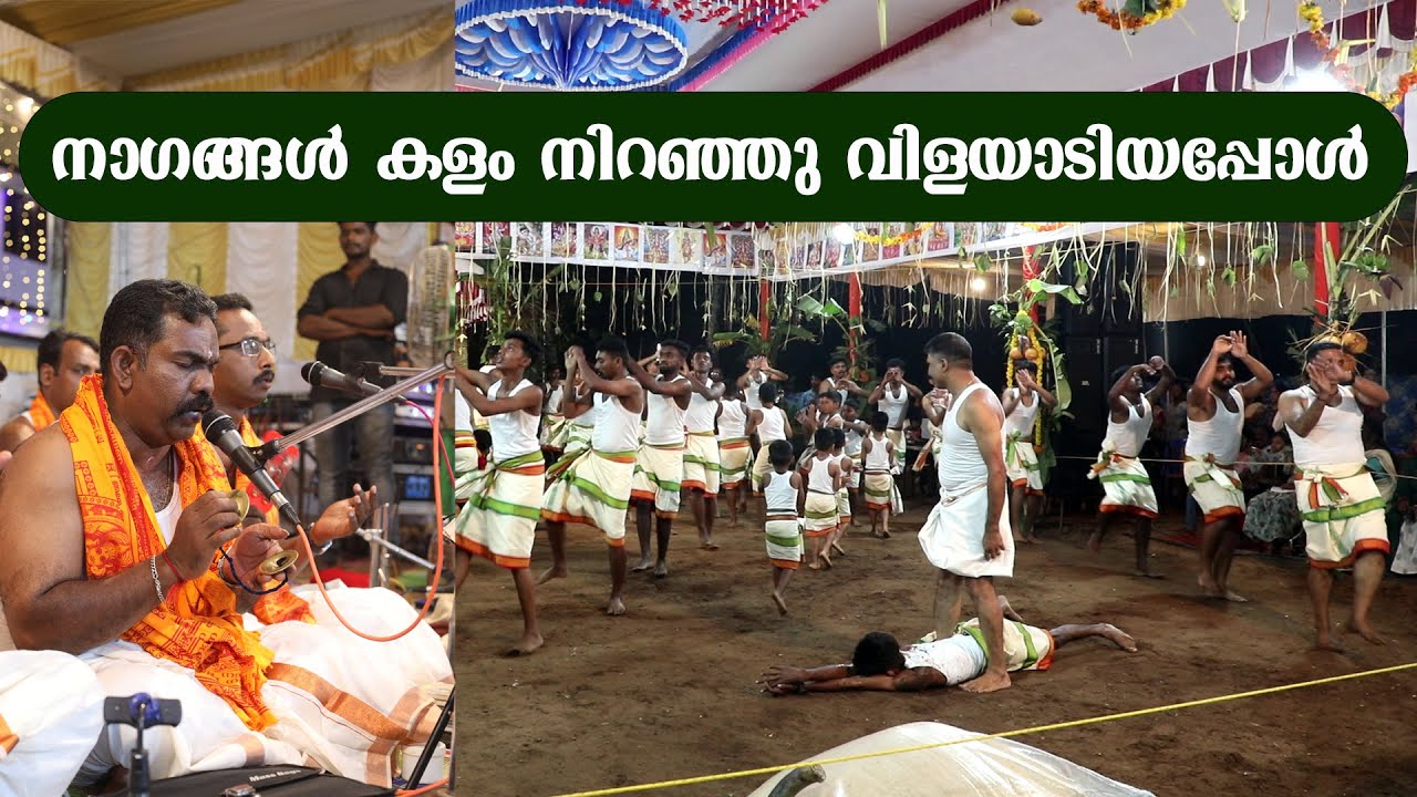 മണിനാഗങ്ങൾ കളിയാടുമ്പോൾ | കുമ്മി | ചെട്ടികുളങ്ങര കുംഭ ഭരണി കുത്തിയോട്ടം 2024  | ആലാപനം : ഹരിദാസ്