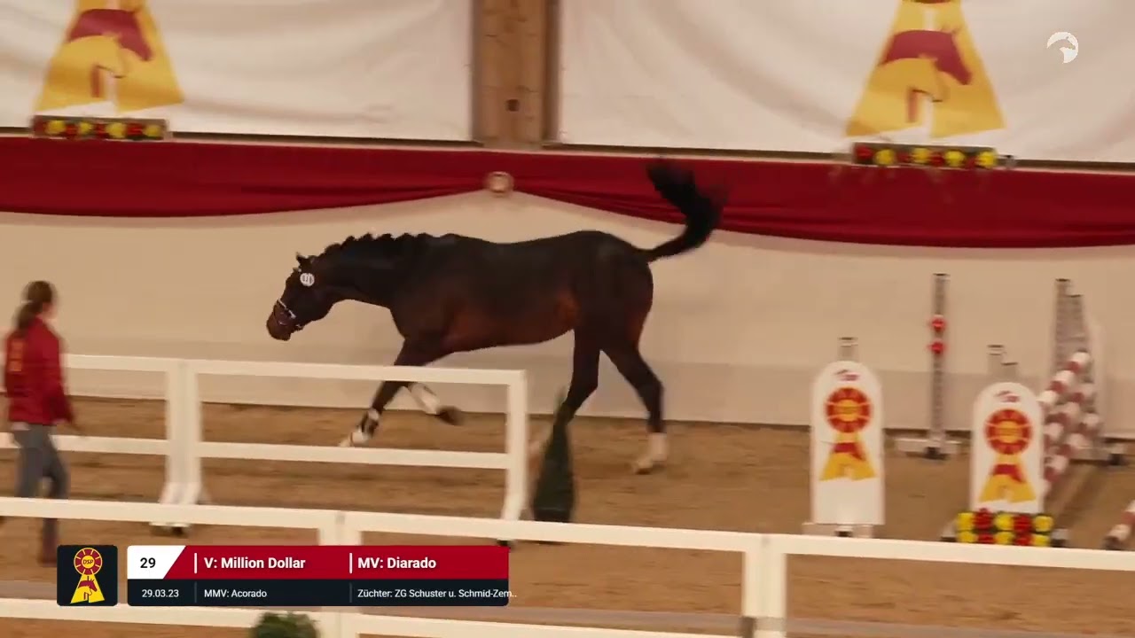 Lot 29 v. Million Dollar / Diarado