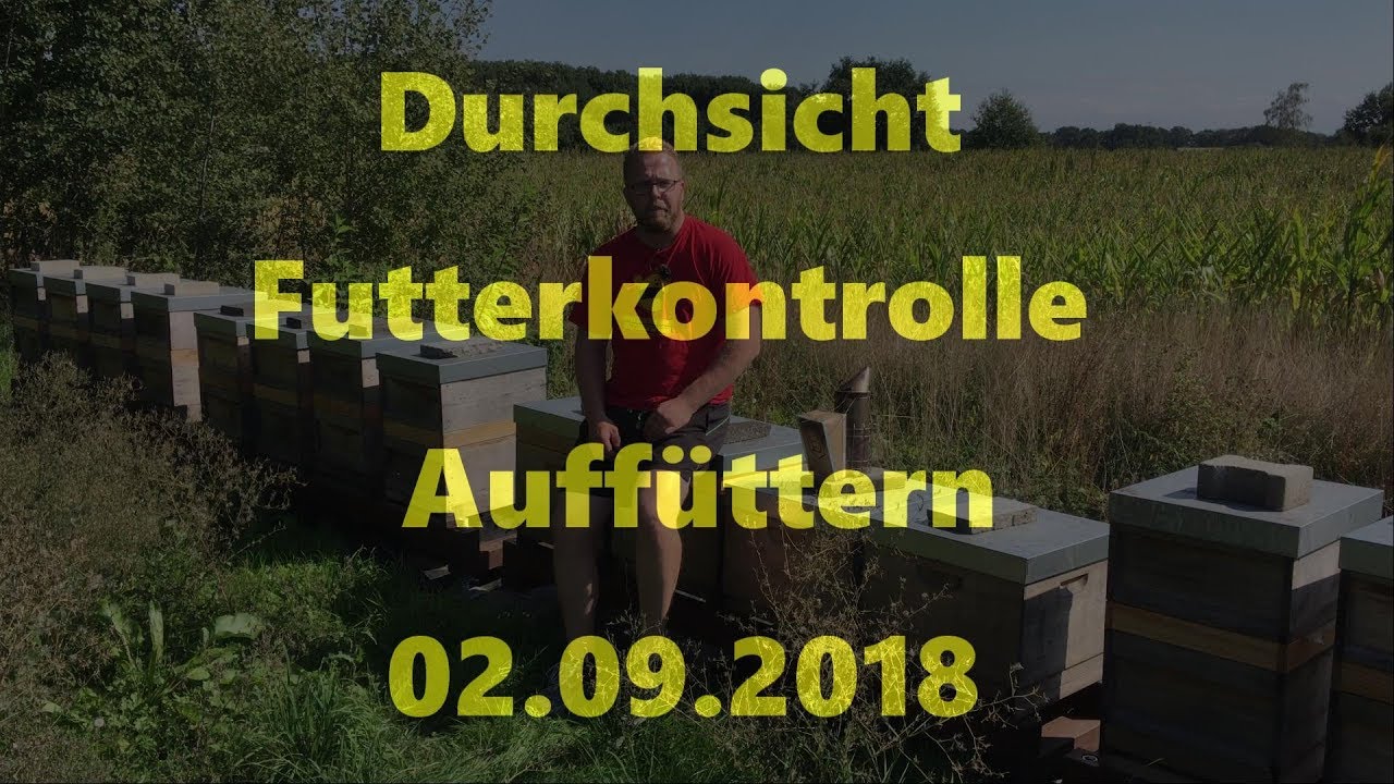 Durchsicht Futterkontrolle und Auffüttern 02.09.2018 *4K*