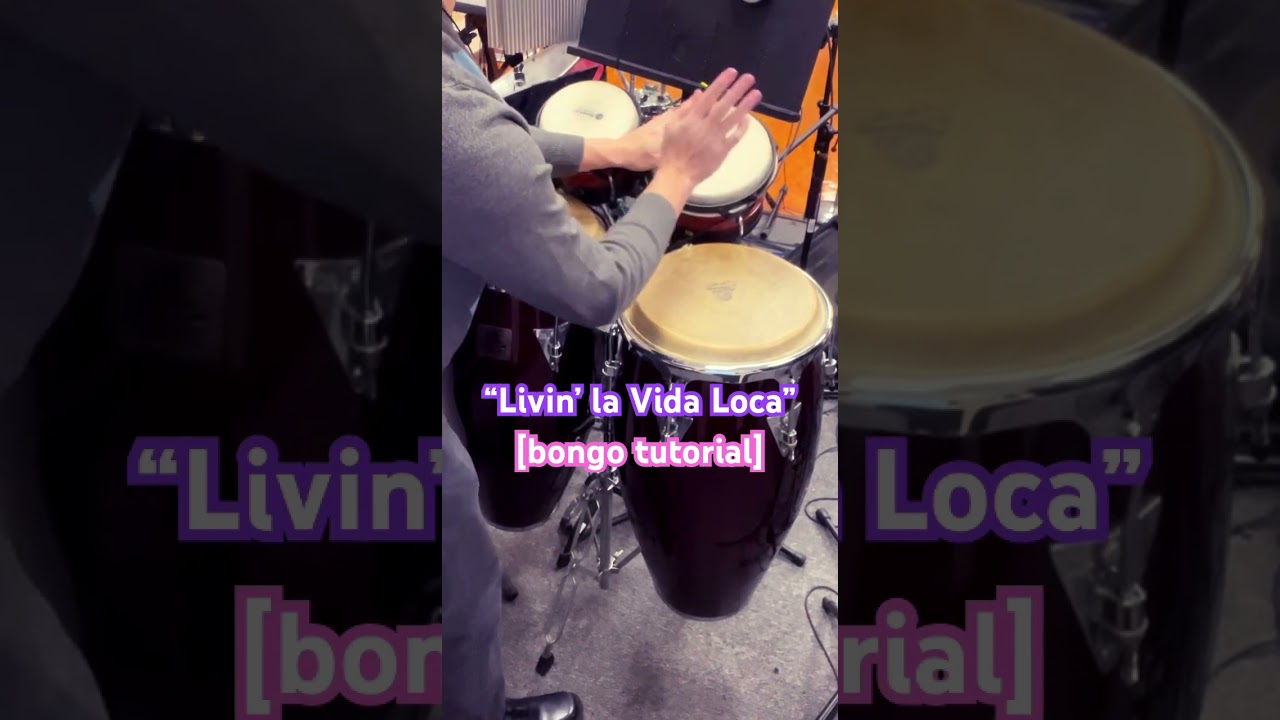“Livin’ la Vida Loca” [bongo tutorial]