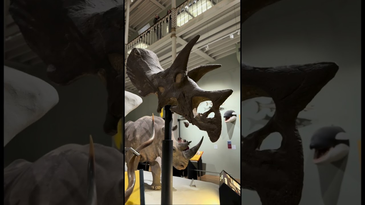 National Museum of Scotland: Natural History