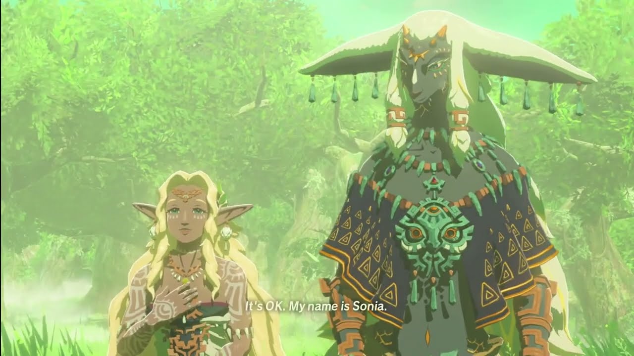 THE IMPRISONING WAR BEGINS! ⚔️ | Hyrule Warriors: Age of Imprisonment - Part 1