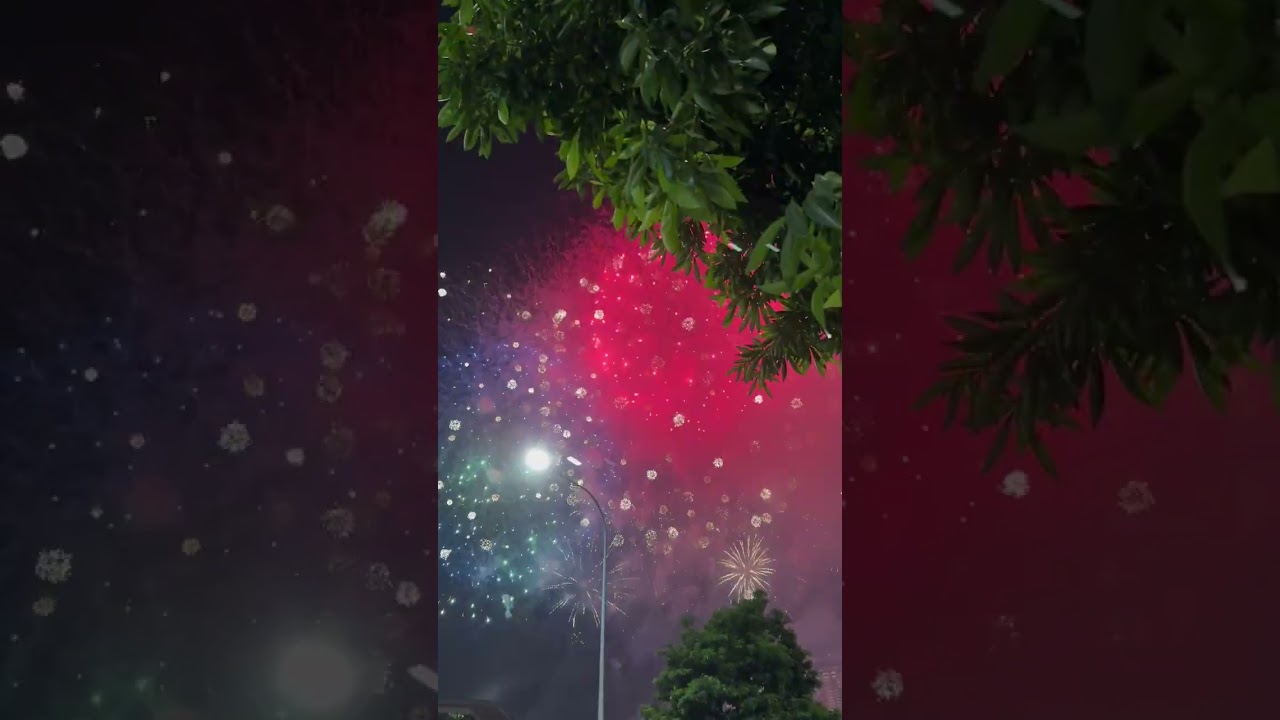 WELCOME 2026 🎆🎇🥂🍾 #fireworks 
