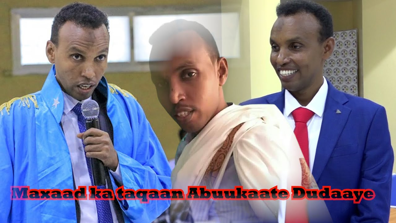 Maxaad ka taqaan Taariikh-da Abuukaate Dudaaye halkee ayuu wax kusoo bartay.