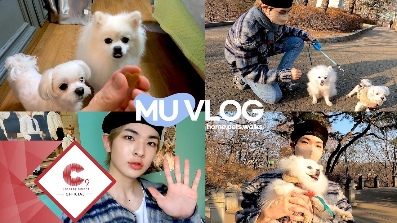 뮤 VLOG (Home,pets,walks)🐕