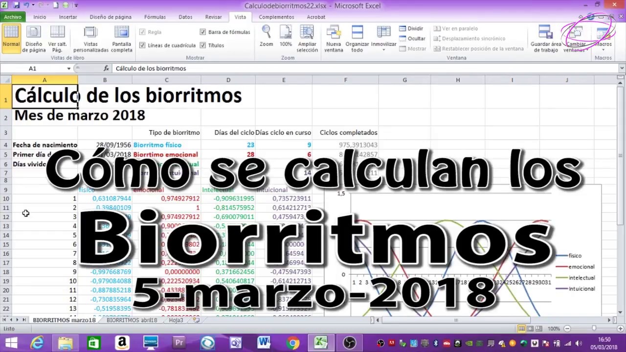 Biorritmos ¿Cómo se calculan con excel?