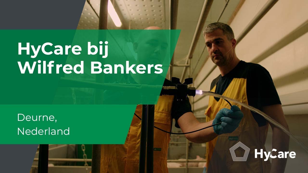 HyCare bij Wilfred Bankers
