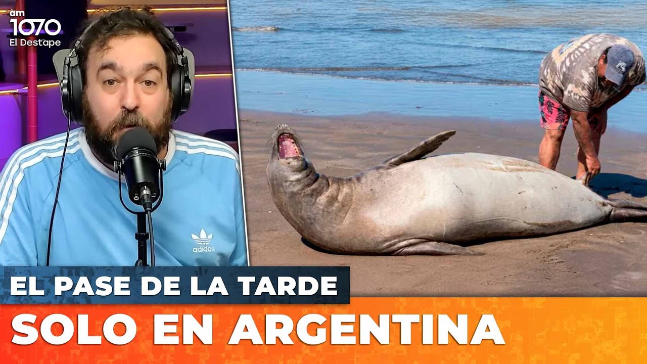 🚨 EL PASE DE LA TARDE con Nico Lantos EN VIVO | El Destape