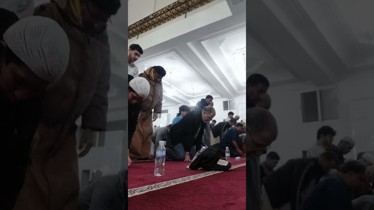 الليلة الخامسة من صلاة التراويح التسليمة الأولى من مسجد الرحمة بلدية دالي ابراهيم بصوت فارس كربوب 
