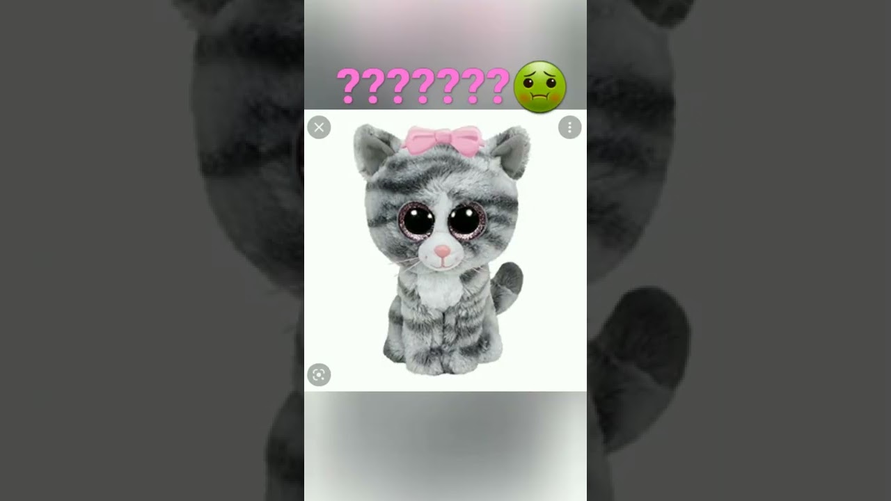 Fake VS Real Beanie Boo! 🤢🤢🤢🤢 VS 🥰🥰🥰🥰