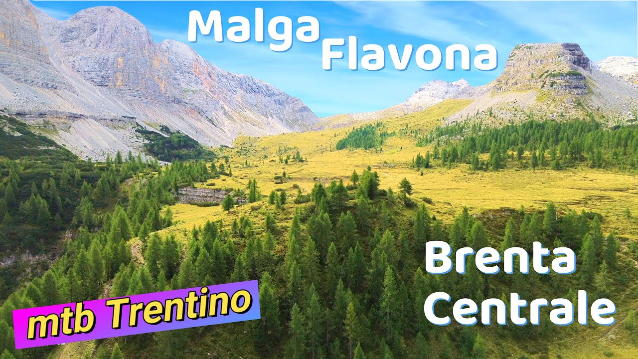 Malga/Campo Flavona  Brenta Centrale