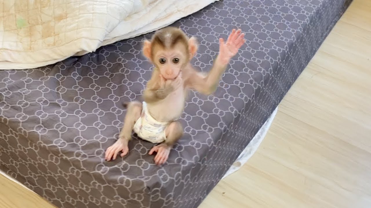 Hahaha!! Baby DORN Raise One Hand Up To Call Mom Back