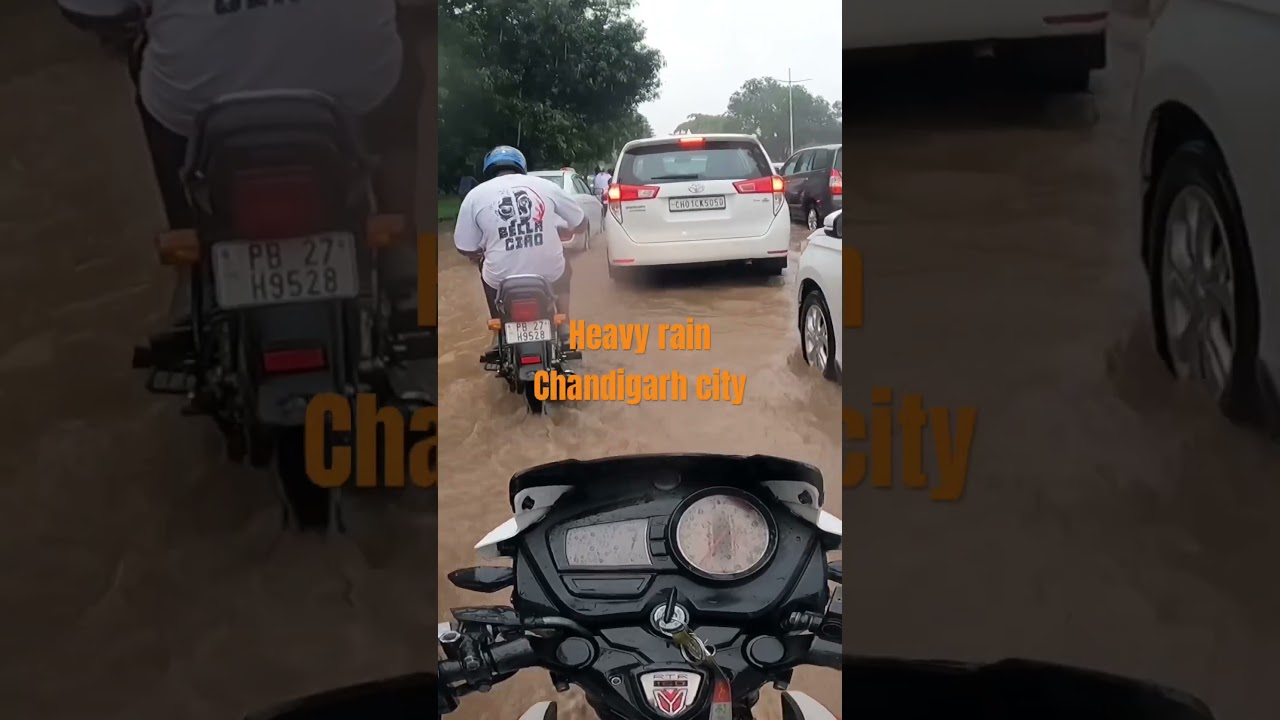 Heavy rain in Chandigarh #heavyrain #chandigarhcity #rainningweather
