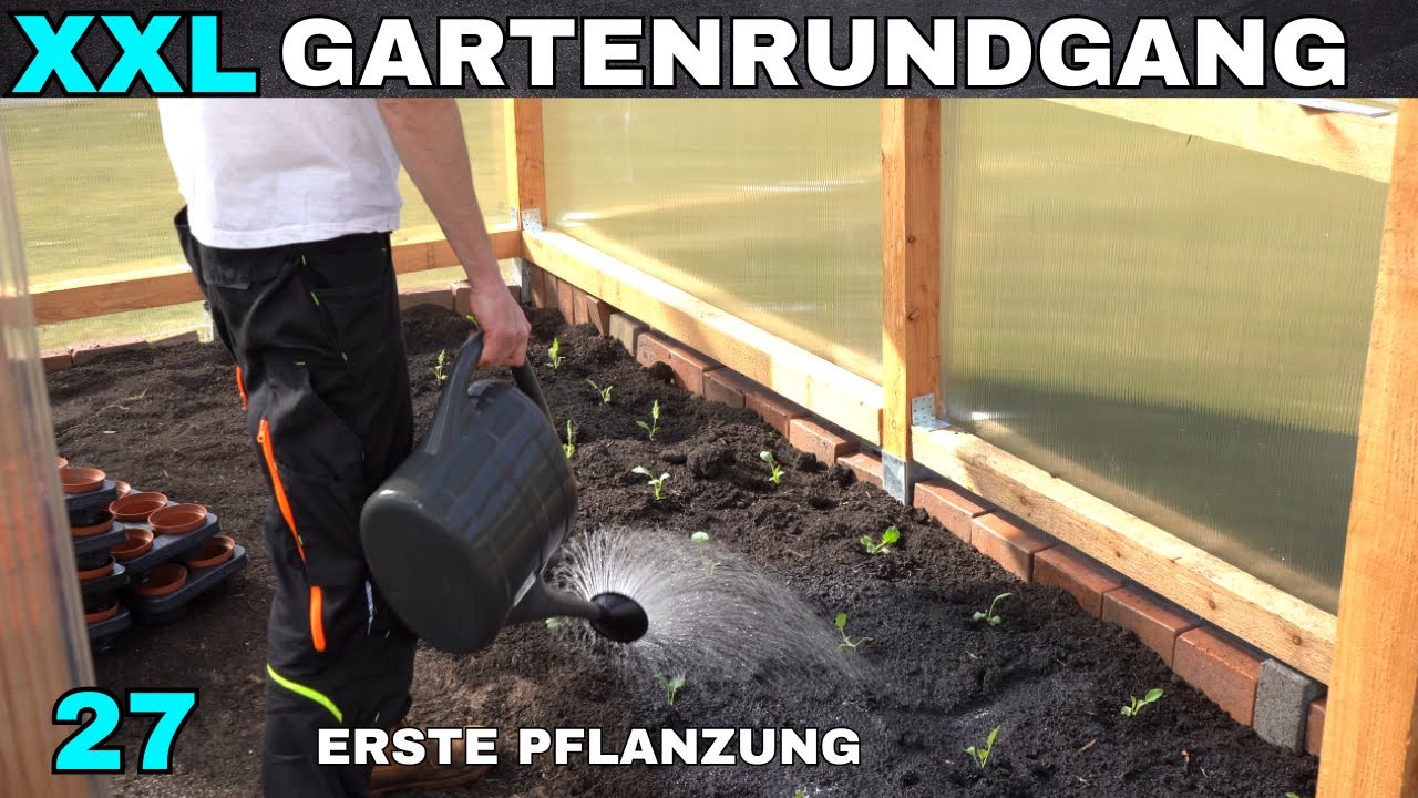 Endlich Pflanzen im Gewächshaus - Gemüsegarten im März