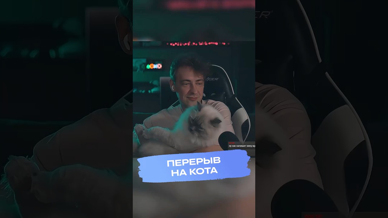 Перерыв на кота ( ͡&deg; ͜ʖ ͡&deg;) #dnj #dialninja #котики #twitchclips #streamer #shorts