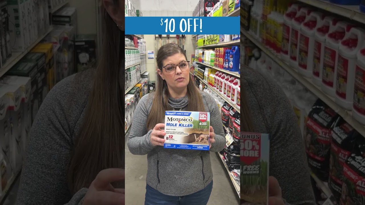Best Mole Killer You Can Buy - $10 Off