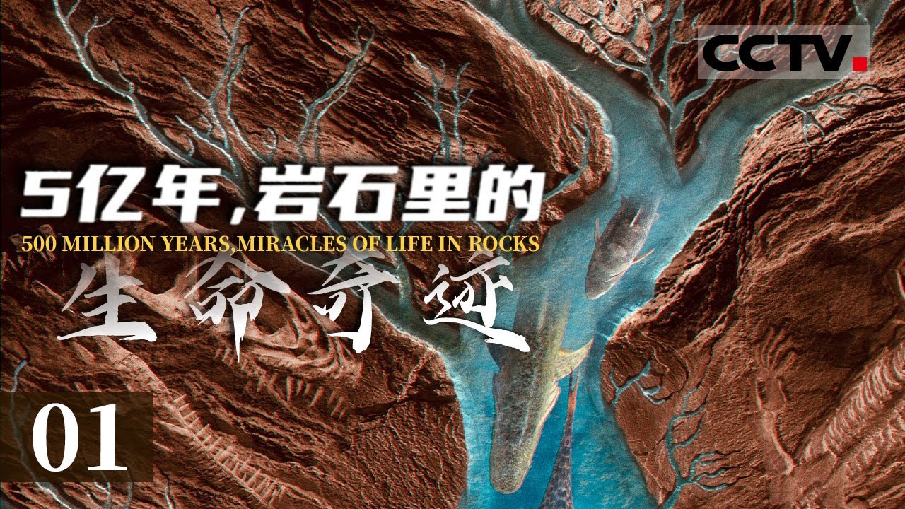《5亿年 岩石里的生命奇迹》01 这条鱼竟然是所有脊椎动物的老祖宗！它大约5.18亿年前出现——凤姣昆明鱼【CCTV纪录】