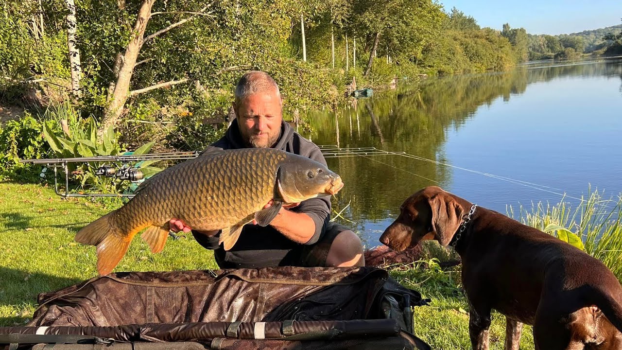 La noix tigrée by Carpecanal